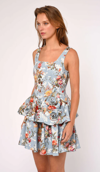 Dale Mini Dress