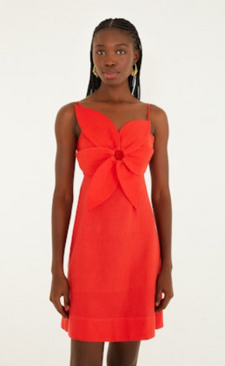 Red Flower Mini Dress