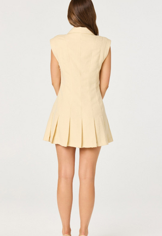Diannie Tweed Mini Dress