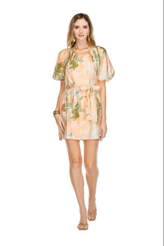 Pleated Puff Sleeve Dress