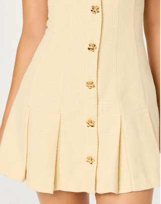 Diannie Tweed Mini Dress